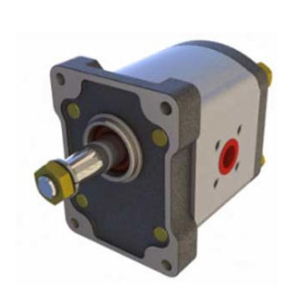 1PN Serisi 8.2 CC Pompa(1PN.082.C-AB12)